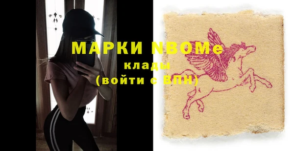 индика Аркадак