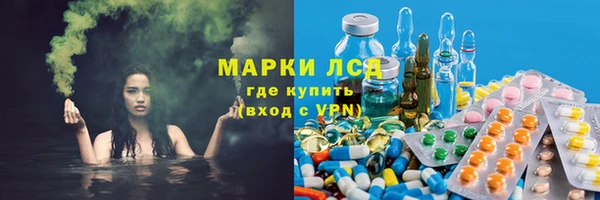 индика Аркадак