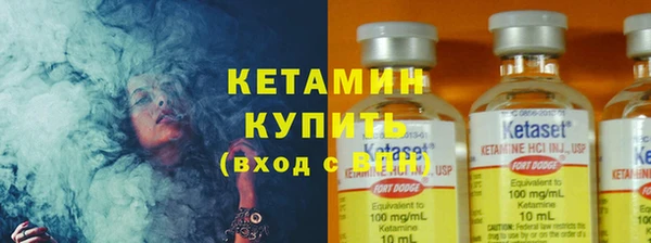 индика Аркадак