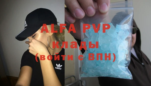 индика Аркадак