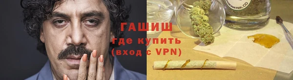 индика Аркадак