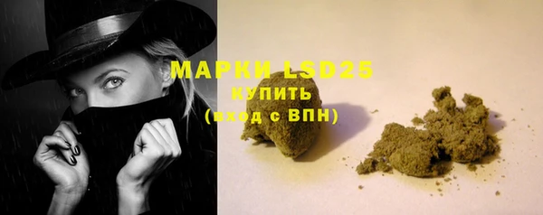 индика Аркадак