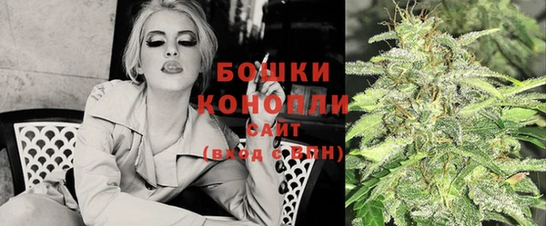 индика Аркадак