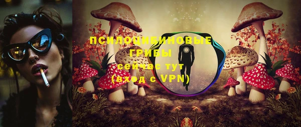 индика Аркадак